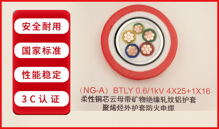 NG-A（BTLY）型号电缆